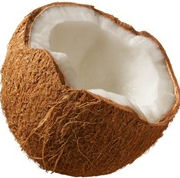 coconut