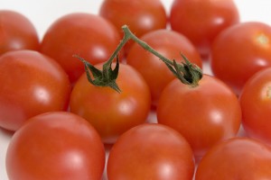 isolated tomatos