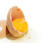 Protein Sources for Good Nutrition
