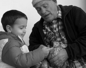 Myths Concerning Healthy Aging