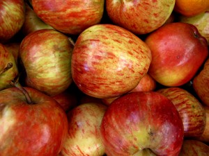 Nutrition & Your Exercise Regimen