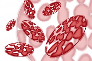 Immune System Importance During Cancer Treatment